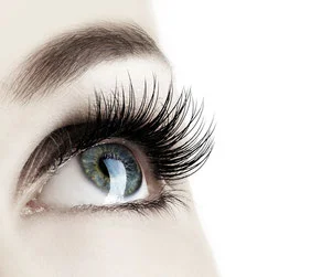 Wimpernlifting bei FF Make-Up Fulda